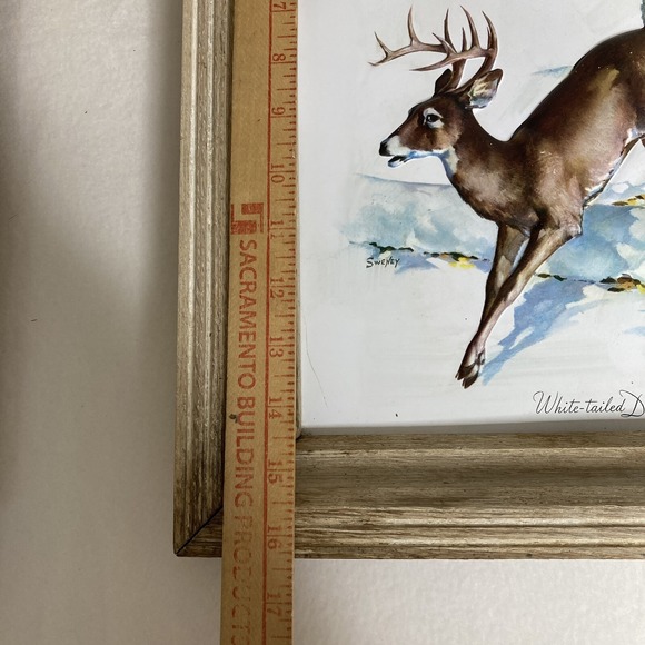 2 Fred Sweney Embossed Plastic Picture Prints Ducks and White Tailed Deers - Picture 9 of 16